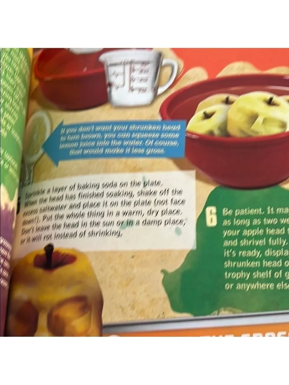 Gross Science Book by Scholastic
